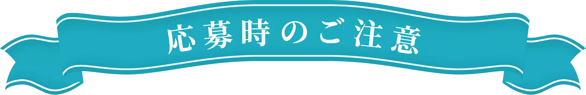 応募時のご注意